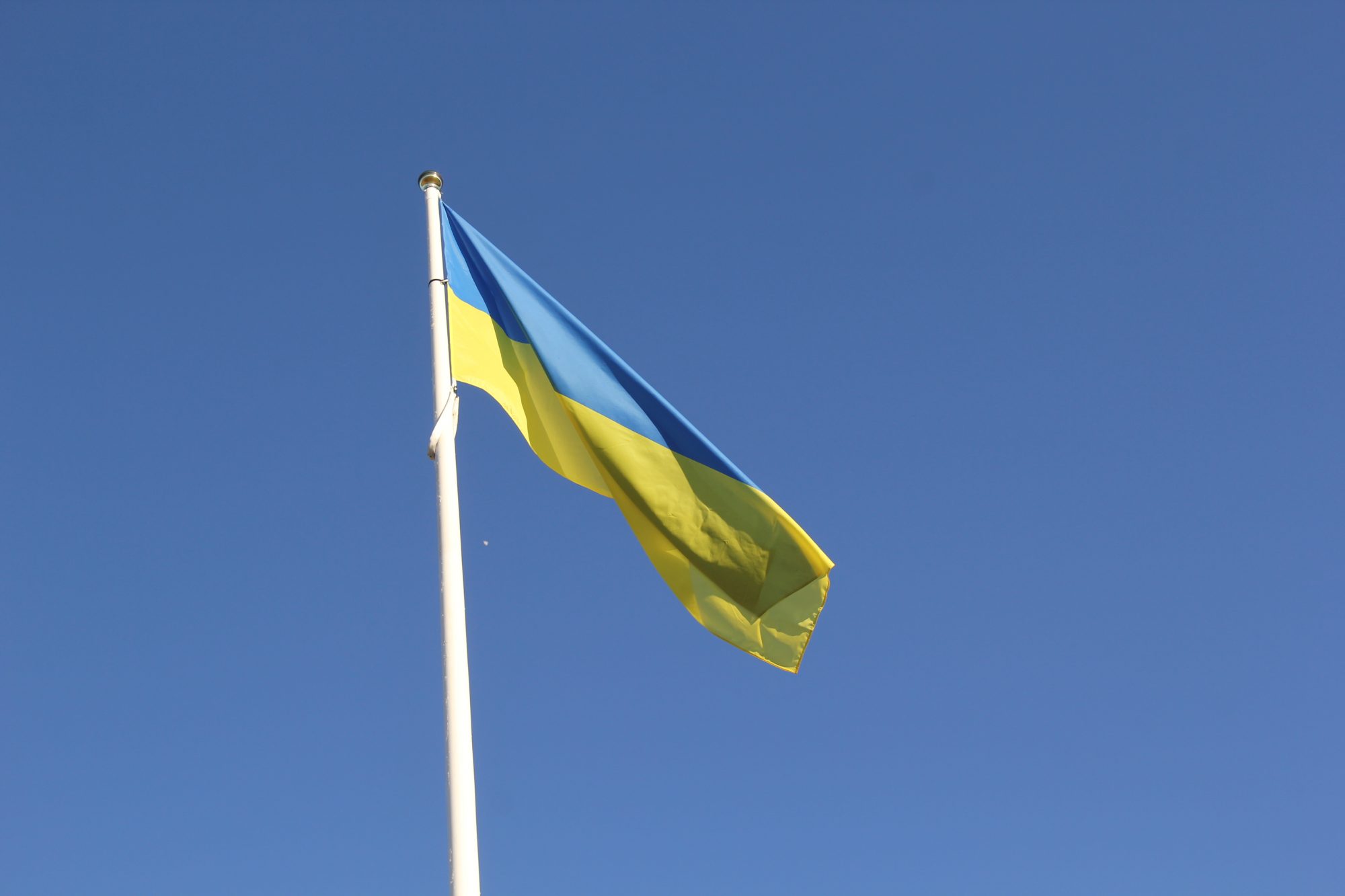 Supporting Ukraine